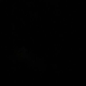 Meet your Posher, Cesar